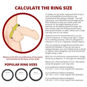Manly - Aerospace Aluminum Penis Ring - FRISKY BUSINESS SG
