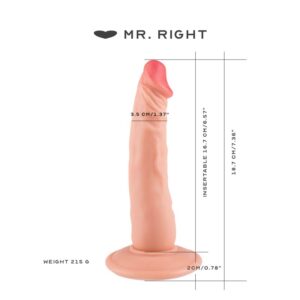 Mr Right - Suction Cup Dildo - FRISKY BUSINESS SG