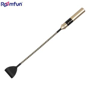 Roomfun - Electric Whip - FRISKY BUSINESS SG
