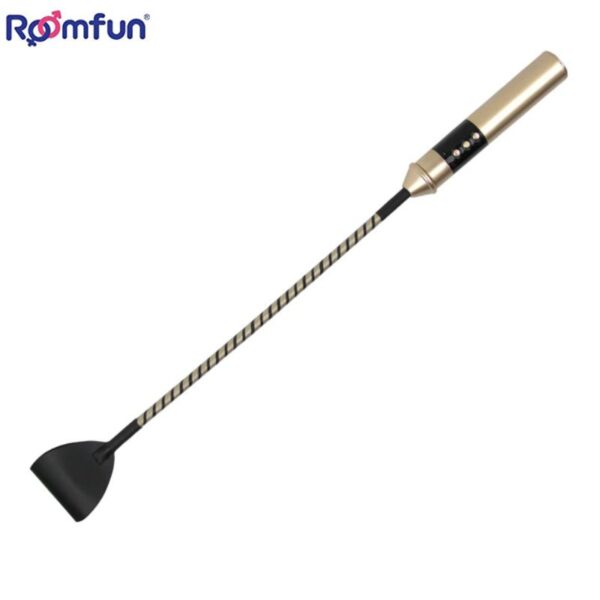 Roomfun - Electric Whip - FRISKY BUSINESS SG