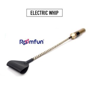 Roomfun - Electric Whip - FRISKY BUSINESS SG