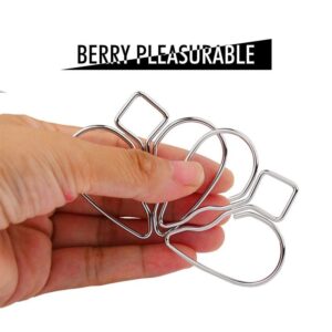 Silver Bite - Stainless Steel Nipple Clips - FRISKY BUSINESS SG