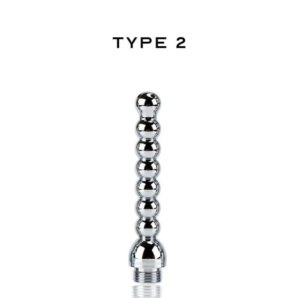 Type 2