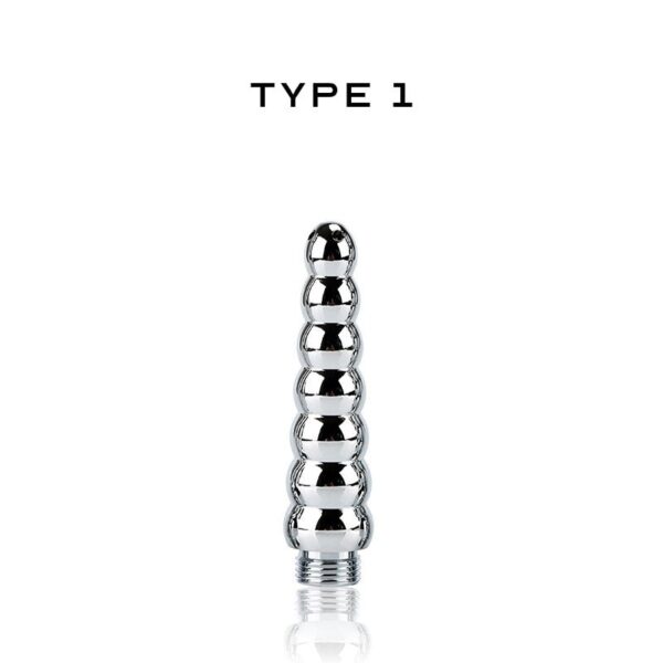 Type 1