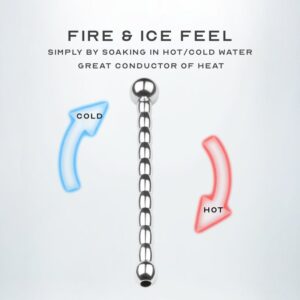 Stainless Steel Urethra Sounding - FRISKY BUSINESS SG
