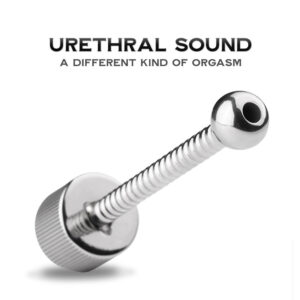 Stainless Steel Urethral Sounding - FRISKY BUSINESS SG