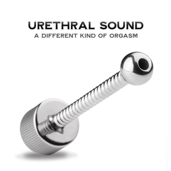 Stainless Steel Urethral Sounding - FRISKY BUSINESS SG
