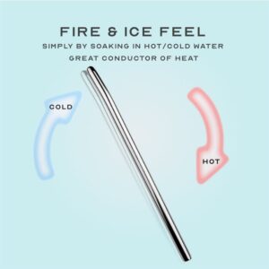 Steel Flow - Steel Urethral Sounding - FRISKY BUSINESS SG