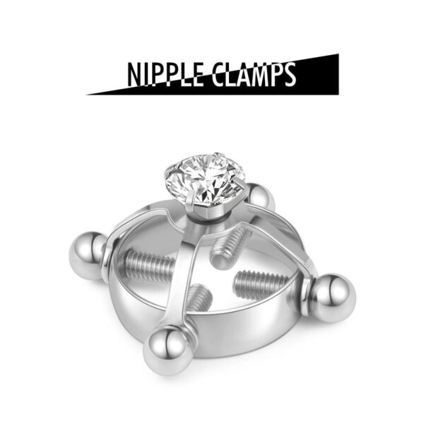 Steel Tease – Nipple Clamps - FRISKY BUSINESS SG