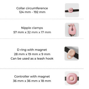 Tease N Please - Vibrating Nipple Clamps with BDSM Collar - FRISKY BUSINESS SG