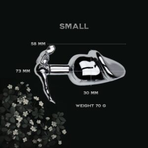 Teeming - Stainless Steel Anal Plug - FRISKY BUSINESS SG