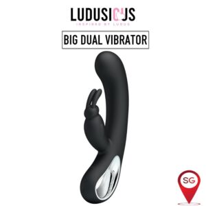 Webb - Large Dual Vibrator - FRISKY BUSINESS SG