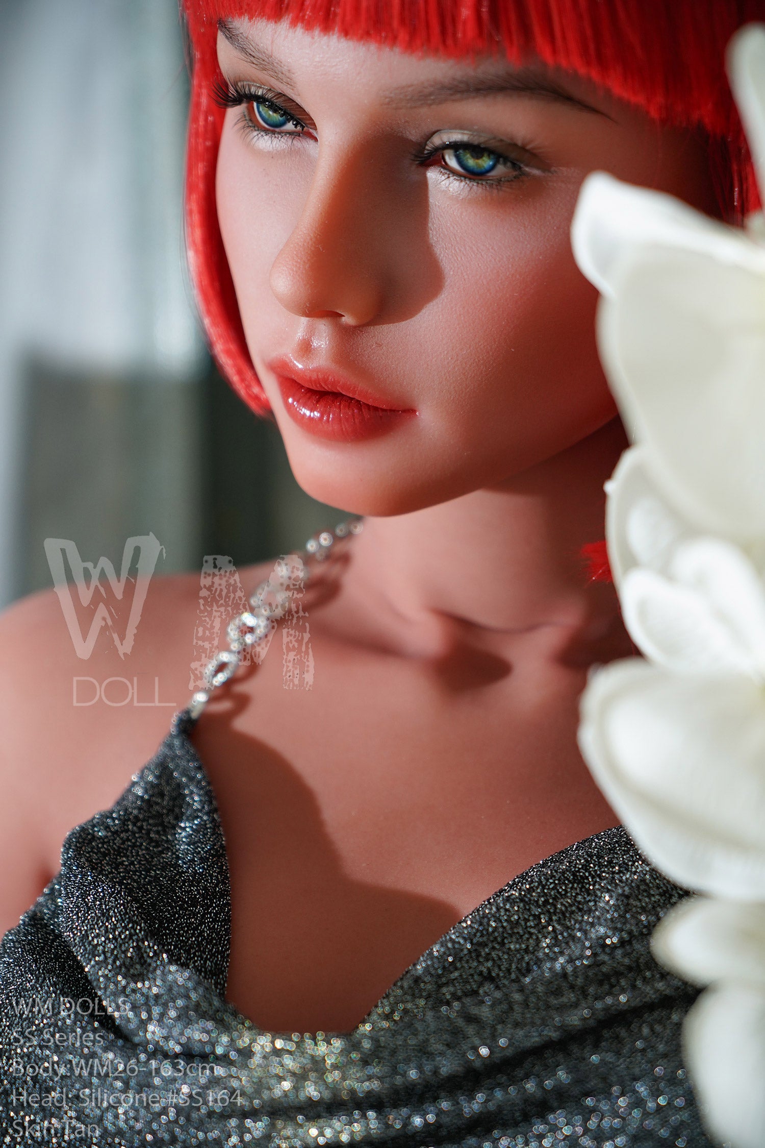DSC04948